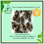 Hot Selling Catclaw Buttercup Root Extract 