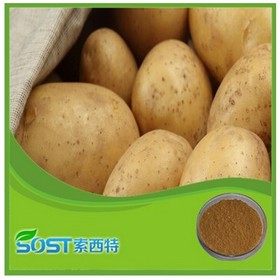 High Quality Free Sample Dry Potato Powder