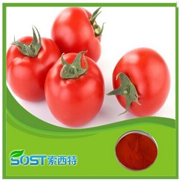 Hot Selling High Quality Dehydrated Dried Tomato Powder