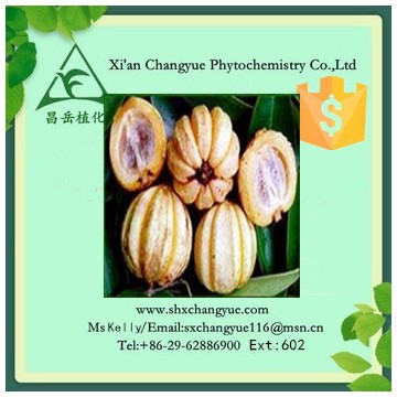 Gold supplier garcinia cambogia extract