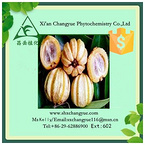 Gold supplier garcinia cambogia extract