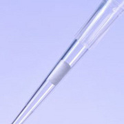 Pipet Tips