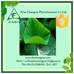 Pure natural lotus leaf extract 