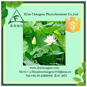 Gold supplier lotus leaf extract 