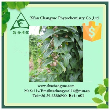 Top quality wild yam extract