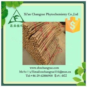 Hot selling wild yam extract