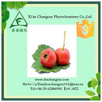 Gold Supplier Hawthorn Fruit Extract 