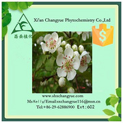 Top Quality Hawthorn Fruit Extract 