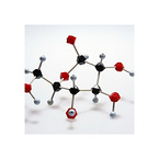 7-Amino-3-nor-3-cephem-4-Carboxylic Acid