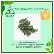 top quality thyme extract