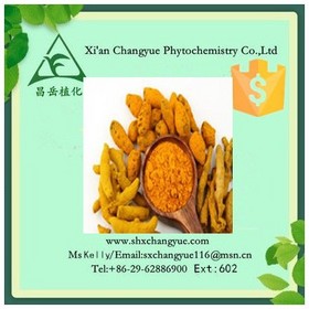 Pure natural turmeric extract powder 