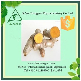 Top quality curcuma extract powder 