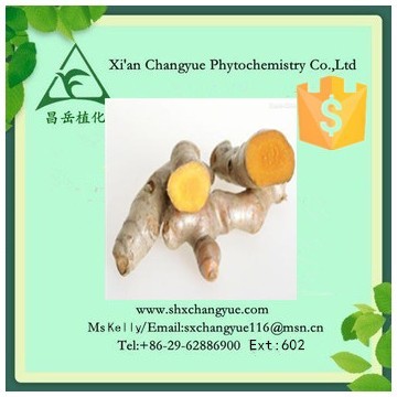 Top quality curcuma extract powder 