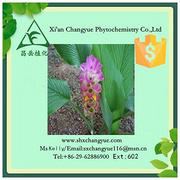 Hot selling curcuma extract curcumin 