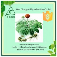 Pure natural ginseng leaf extract 