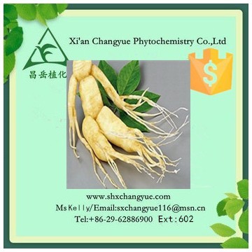 Gold supplier ginseng leaf extract 