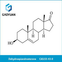 Dehydroepiandrosterone(DHEA)