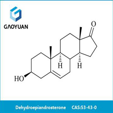 Dehydroepiandrosterone(DHEA)