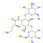 Amikacin Base