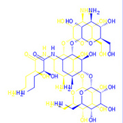 Amikacin Base