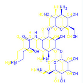 Amikacin Base