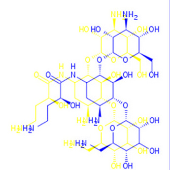 Amikacin Base