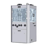 YH765 Powder Forming Machine