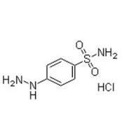 4-Sulfonamidophenylhydrazine hydrochloride