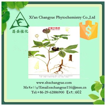 Top quality siberian ginseng extract 