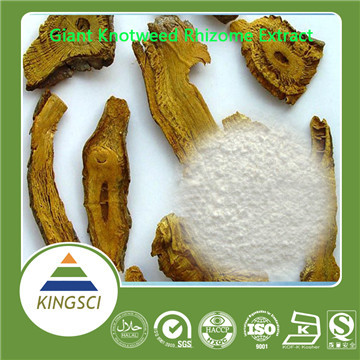  Polygonum Cuspidatum Root Extract Resveratrol 