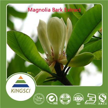 Magnolia Bark Extract