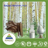 Birch Bark extract Betulin