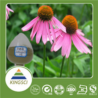 Echinacea Purpurea Extract