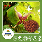 Epimedium Leaf Extract