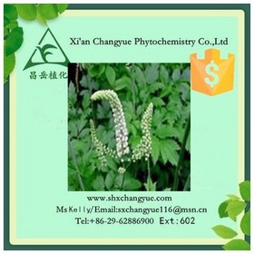 Pure natural black cohosh extract powder 