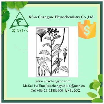Top quality black cohosh extract 