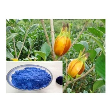 Gardenia blue powder