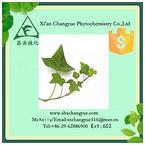 Hot selling ivy stem extract 