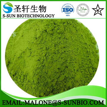 pure natural organic spinach powder