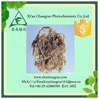 Hot selling usnic acid 