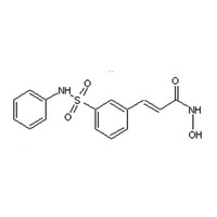 (2E)-N-hydroxy-3-[3-(phenylsulfamoyl)phenyl]prop-2-enamide