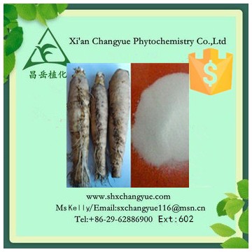 Top quality chicory extract 