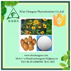 Gold supplier chicory extract 