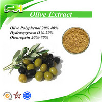 100% Natural Olive Leaf Extract, Olive Leaf Extract With Oleuropein 20%-70%, Anti Oxidant Oleuropein