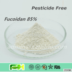 Fucoidan 85%