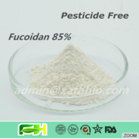 Fucoidan 85%