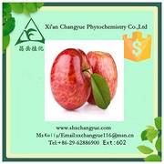 Hot selling phloretin powder
