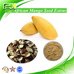 Weight Loss African Mango Seed Extract, Hight Quality African Mango Seed Extract Powder