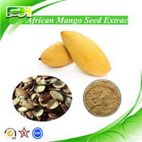 Weight Loss African Mango Seed Extract, Hight Quality African Mango Seed Extract Powder
