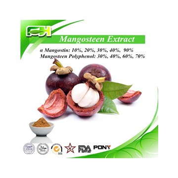 Mangosteen Extract Alpha Mangostin and Mangosteen Polyphenol